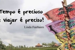 1_asinhas-de-fora-11