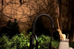 1_78DF7B9A-6554-471A-943B-661F4FF920C0