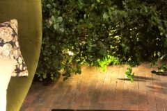 1_7A47CF5D-D7C0-4C79-9474-C80FE3D3EAE6