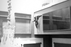 1_7CFD7958-0825-44EF-8FCC-BC022ADE8090