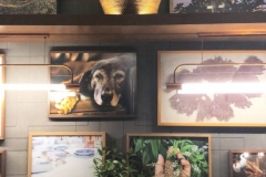 1_89970FA7-DF25-4AD0-83BD-311BF5FA1A37