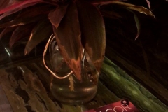 1_B66790D9-63DF-4908-93EB-FB59389F8C27