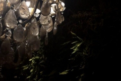 1_B859D3CA-9D69-424D-860B-1227EA830E98