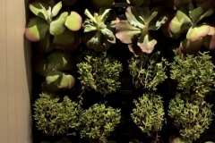 1_B935F4F5-21CA-4A55-AFB7-A2D331BA8FE3