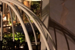 1_E7AC8EFA-E542-4677-A6CF-3EC565B1602B