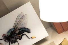 1_008B8C6B-1B0D-41FA-B4AB-9571C61A3F47