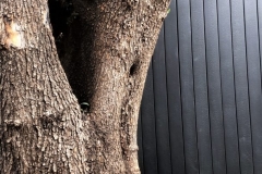 1_347303AB-A4B5-40CF-A532-2C2D4B70EF84