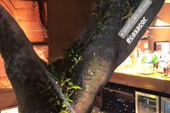 1_3AAF359F-C1A4-4034-828F-9C57D1A4CE7A