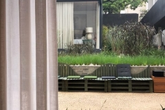 1_6E3BB382-5E1C-4E45-A3FE-6562396EECA5