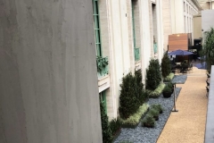 1_72D567B6-8D15-4882-8200-1A10598A2A6D