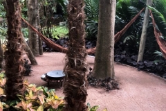 1_7996F9DE-84C7-41C4-A2E4-1E17BB1FB140