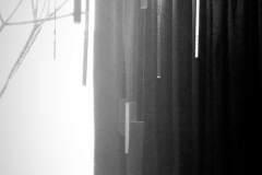 1_88ED04BE-EE39-4416-B586-743D075FC290