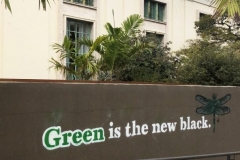 1_92048A7A-2181-4A40-A639-03F3DB8DFFBF