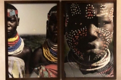 1_9ECE00A3-4D40-4A68-B87E-A0D700940F08