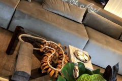 1_C095CAE5-13D6-453B-988D-EE3EF2E613A9