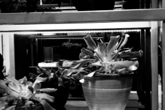 1_C50F49B8-F496-4B5A-A3AD-993F662CB0FE