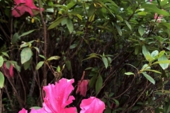 1_E837D7D5-517C-48BF-BB96-10651CE67D98