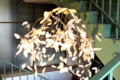 1_E8DDEAD3-9342-4D56-8A3A-414DE02695D4