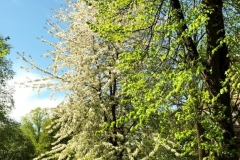 1_001A91C3-9BDF-435F-9C54-21224D1C2CB0