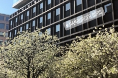 1_053F8DAB-D4A6-4293-BA50-DDA0894E4B3C