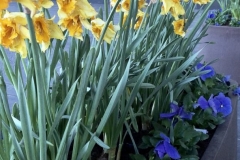 1_08664383-5880-4087-9108-C7A6757357ED