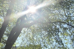 1_278FB814-BFC1-4CBD-BCA9-A559255E43E7