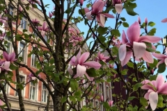 1_2F6739DC-650A-4183-9634-3F59CDC6C4B8