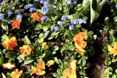 1_50135C51-EA67-40D1-8556-43356F15B4D4