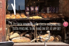 1_53C0525A-F658-48C5-9448-33DF779297D2