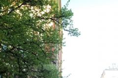 1_5DF8976F-4F98-434B-A5B5-7DCFBC49C7E2