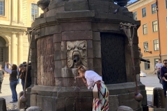 1_6351A767-E4E6-423A-A0C2-D45609CE230E