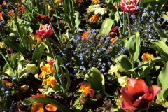 1_87CAA4E2-25B2-4B90-80BC-4FE10EFF4B6A