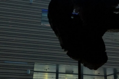 1_938B44B7-0B2A-4788-9F5E-F72A0D5625E4