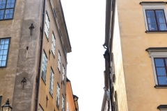 1_A2E4D237-9916-4943-B07A-6325C8E32242