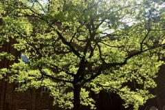 1_D06B6BE7-02C1-4056-A2FB-FB5806F0C4E5