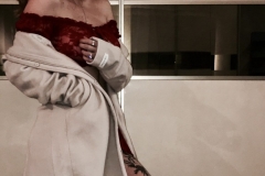 1_de-cv-para-venus-16