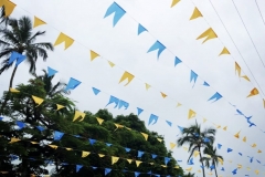 1_1B6B8CC4-0157-49EF-8505-CBF0E2E28C9B