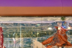 1_57E88232-06D1-4775-8A6E-B78F369C5D02