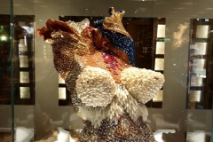 1_59CE1FF3-C99F-466F-9825-B14FDBD757DE