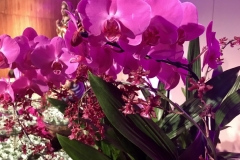 1_II-jantar-beneficente-afesu-2