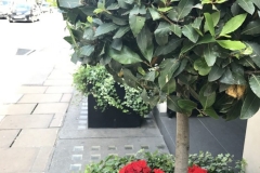 1_LONDON-EXPERIENCE-132