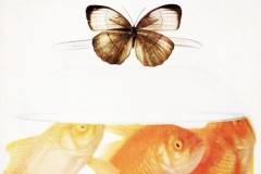 1_LONDON-EXPERIENCE-141