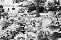 1_LONDON-EXPERIENCE-167