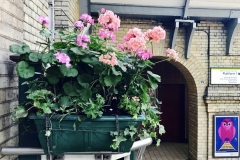 1_LONDON-EXPERIENCE-36