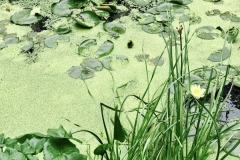 1_LONDON-EXPERIENCE-89