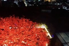 1_LONDON-EXPERIENCE-99