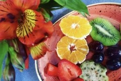 1_MI-CHILE-QUERIDO-1