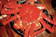 1_MI-CHILE-QUERIDO-10