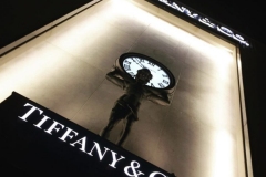 1_MI-CHILE-QUERIDO-11