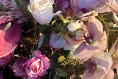 1_WhatsApp-Image-2019-06-12-at-09.42.48